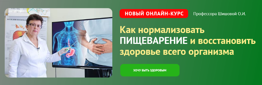 [Ольга Шишова] Как нормализовать пищеварение и восстановить здоровье всего организма (2023)